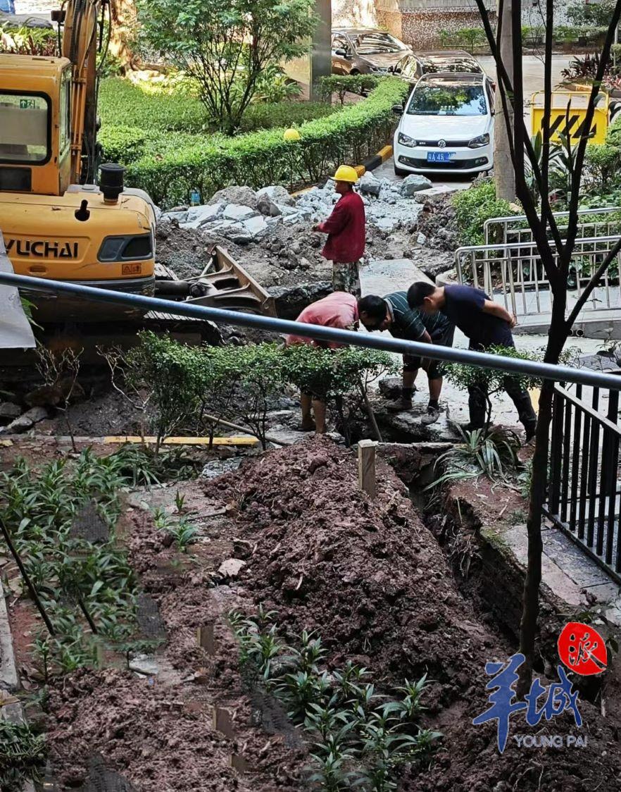 杏彩体育官网建筑工程资质有哪些建筑工程建筑工程施工图纸广州房屋建筑工程电子图纸7